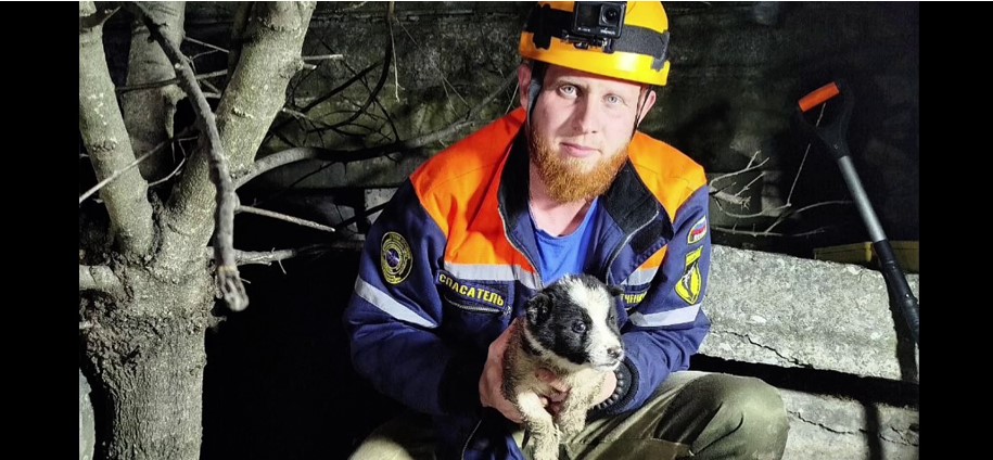 Новороссийские спасатели «выпиливали» щенка из плиты перекрытия