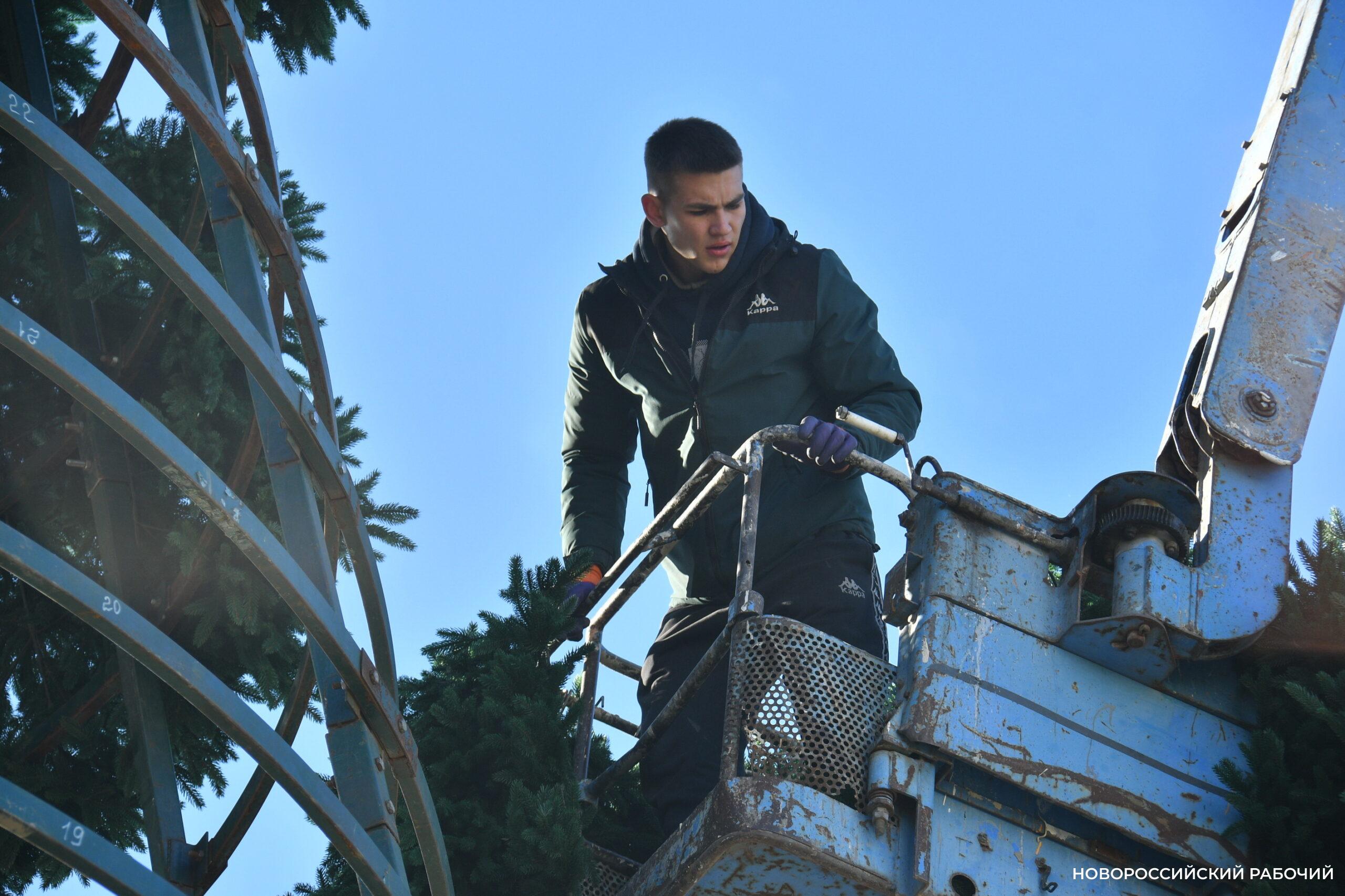 В Новороссийске монтируют главную елку