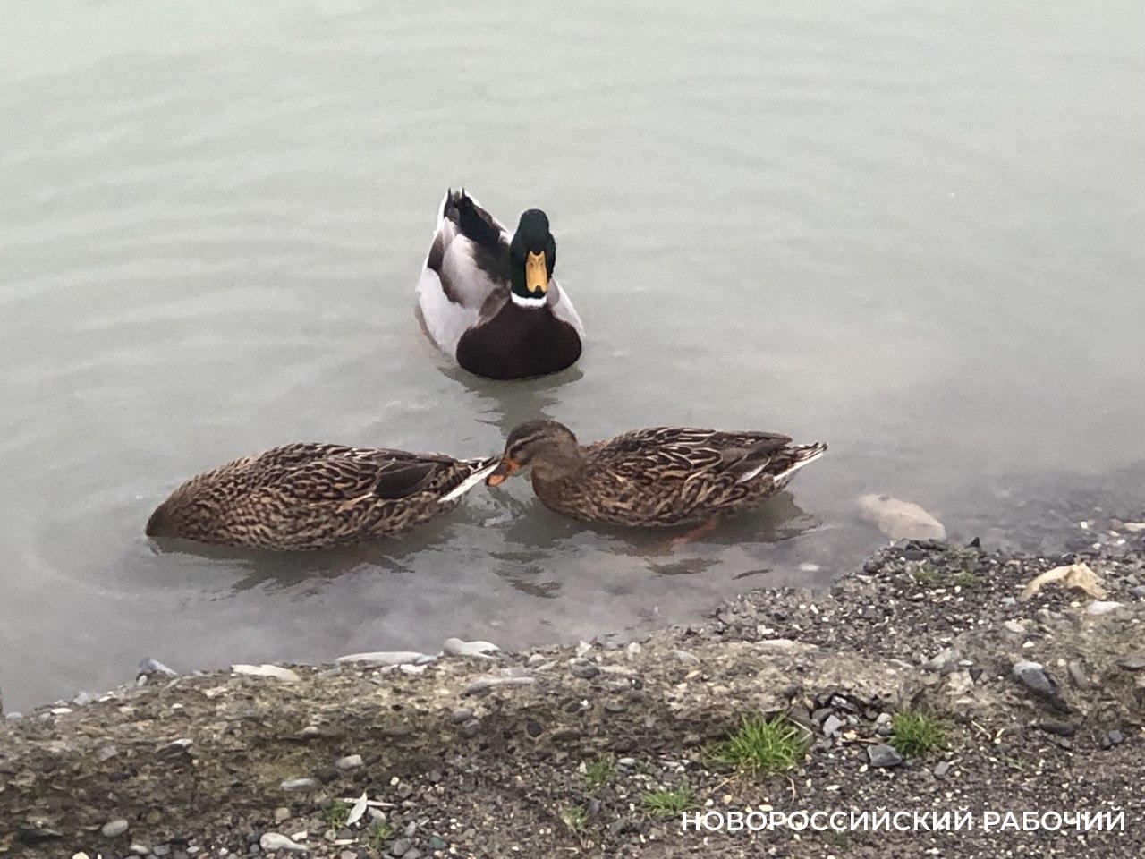 13 января – о службе погоды, воинской повинности и сбыче мечт