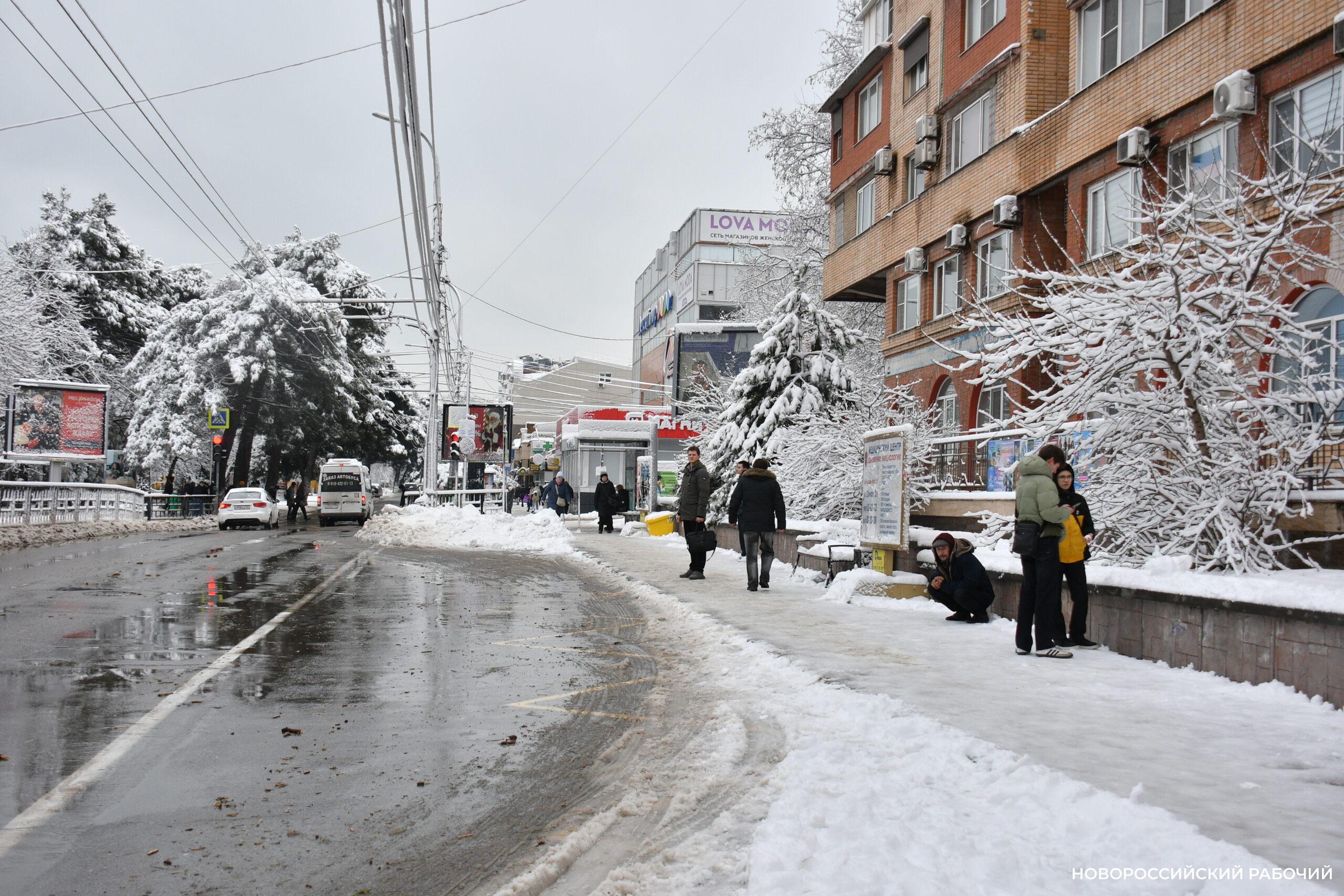В Новороссийске стало опасно оставлять машины на улицах