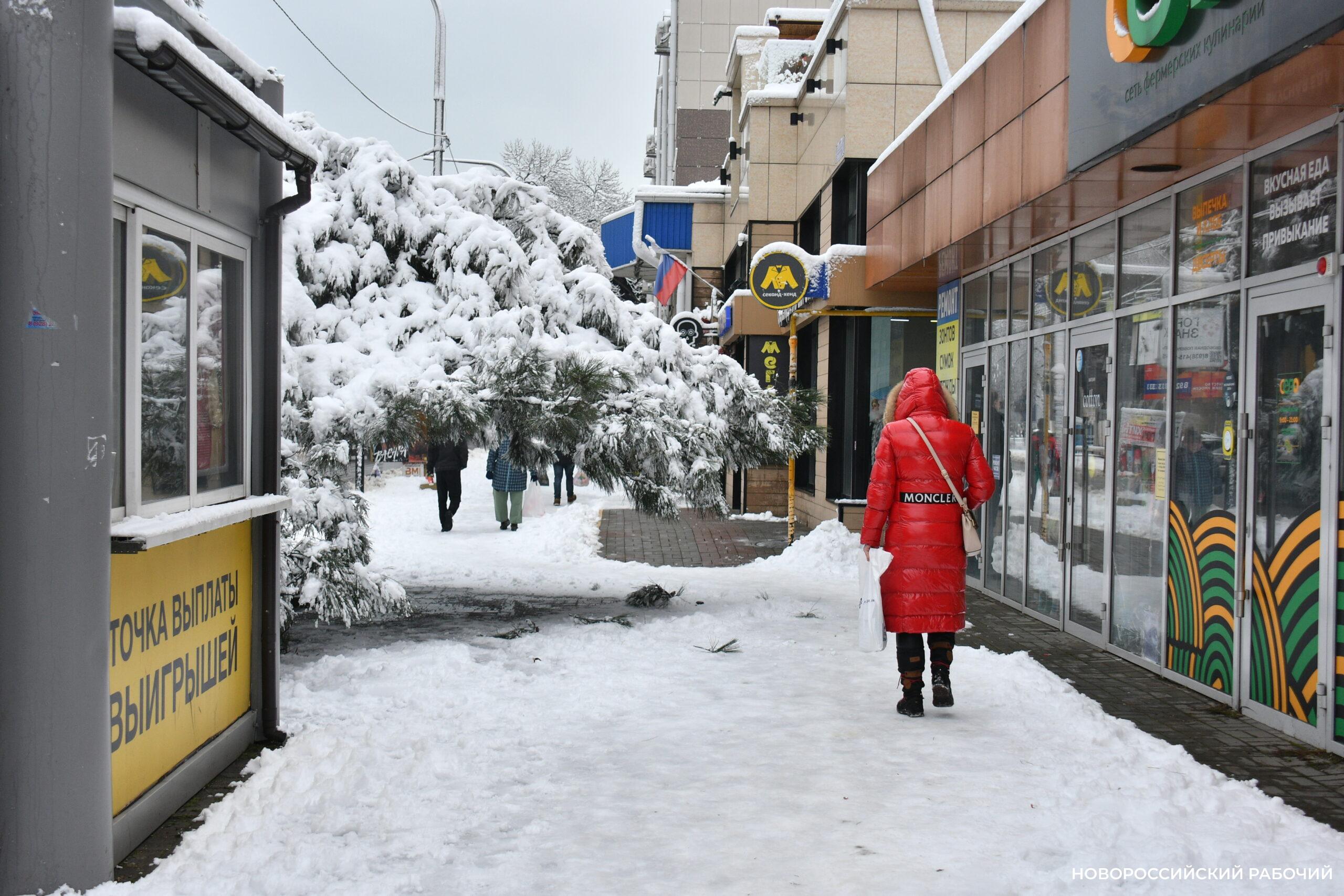 В Новороссийске «ледяной январь» оказался теплее нормы