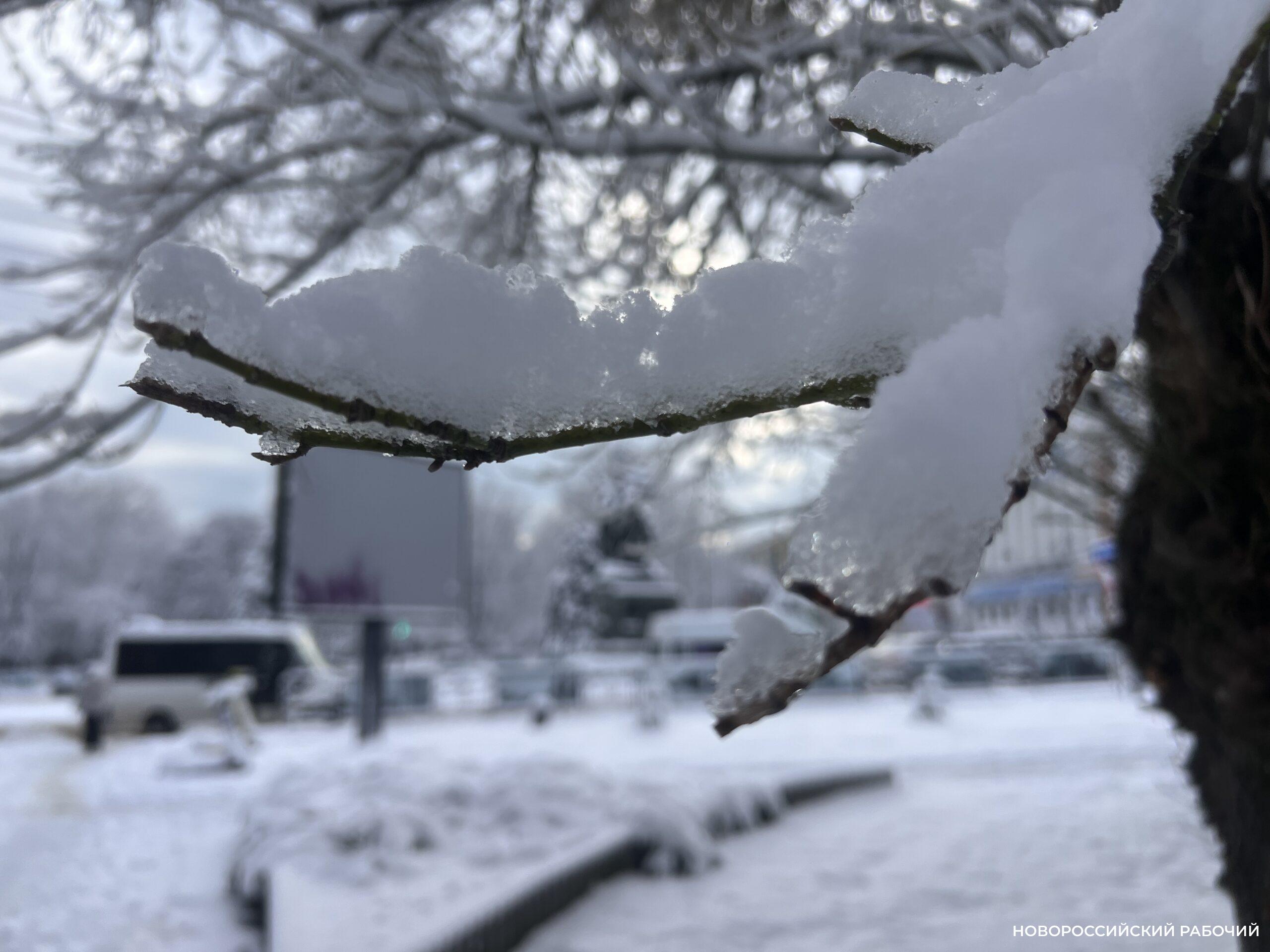 Надежда на  пятницу. Новороссийцев ждет холодная неделя