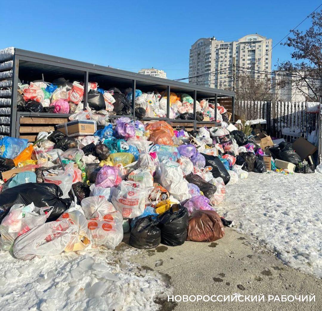 В Новороссийске из-за непогоды мусор стали вывозить еще реже