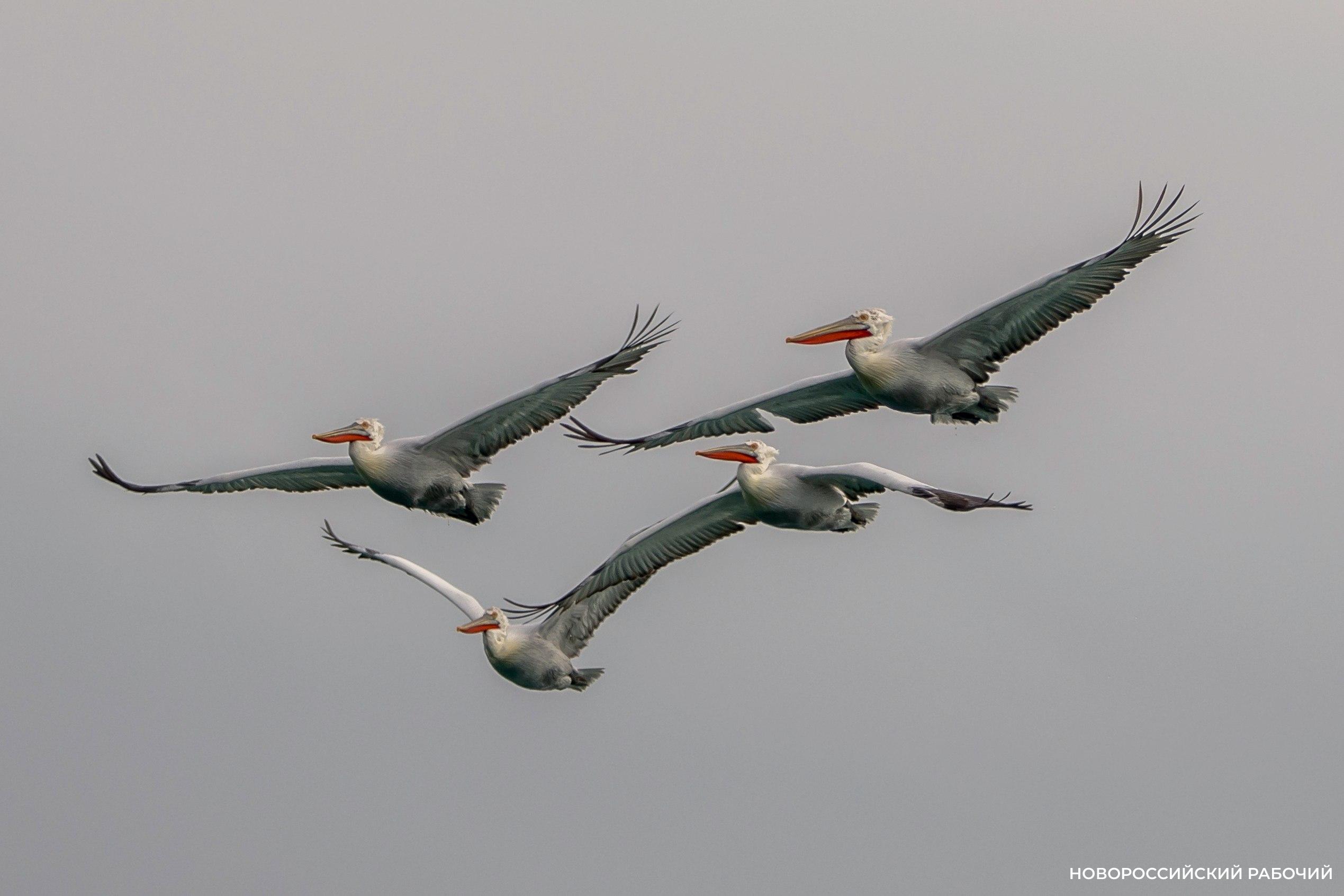 Советы дня на 24 января: доверьтесь интуиции