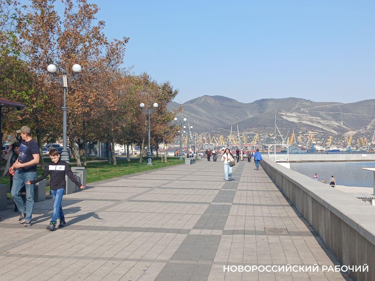 Норд-ост — всё? 2025 год в Новороссийске стал самым безветренным за последние десятилетия