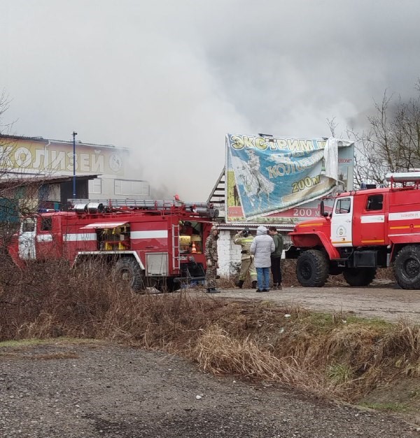 После пожара в конюшне закрыт развлекательный комплекс «Россия» под Новороссийском