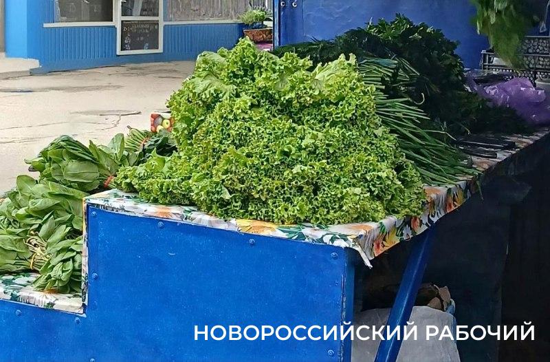До 2 500 руб за кг! В Новороссийске подорожала свежая зелень
