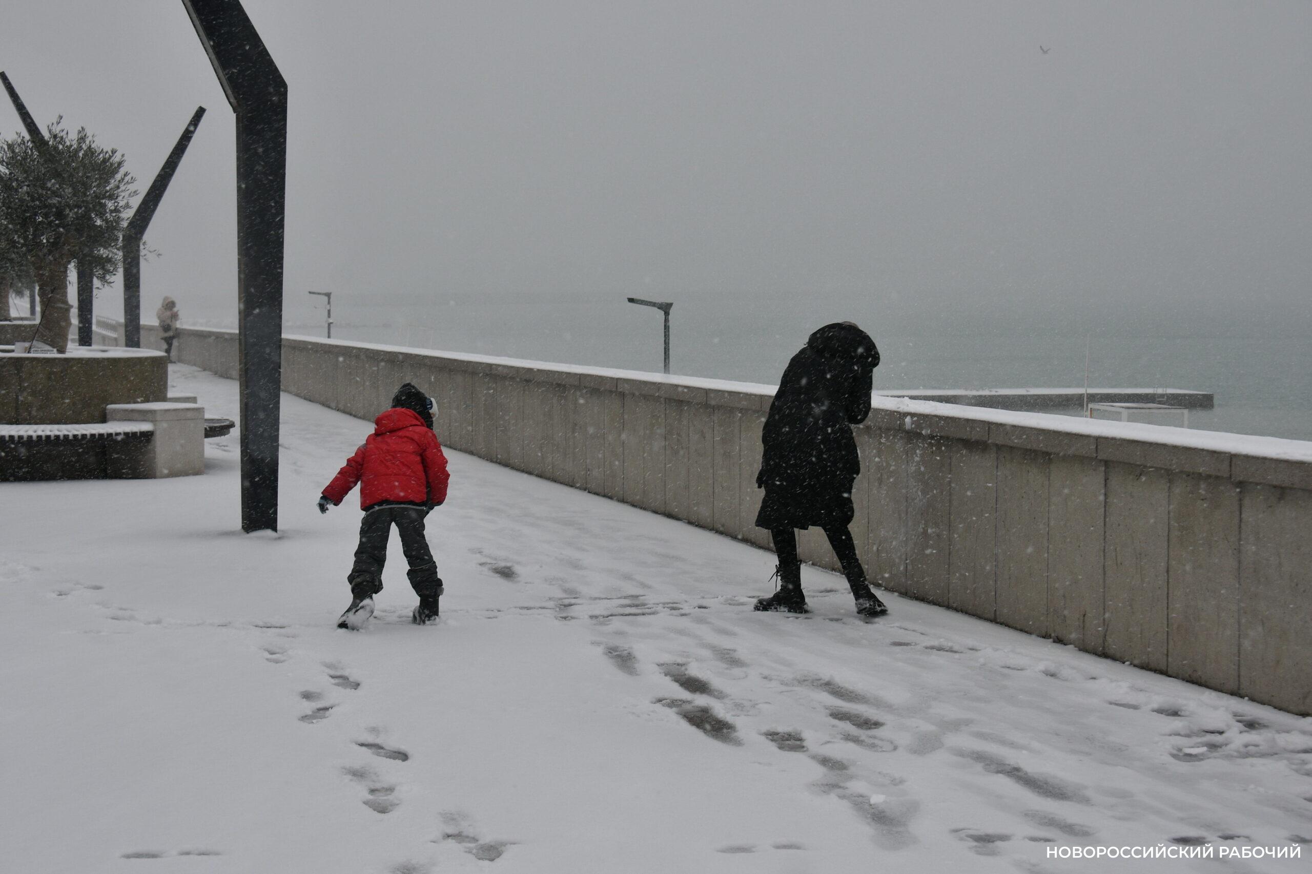 17 января 1939 в Новороссийске началась перепись населения