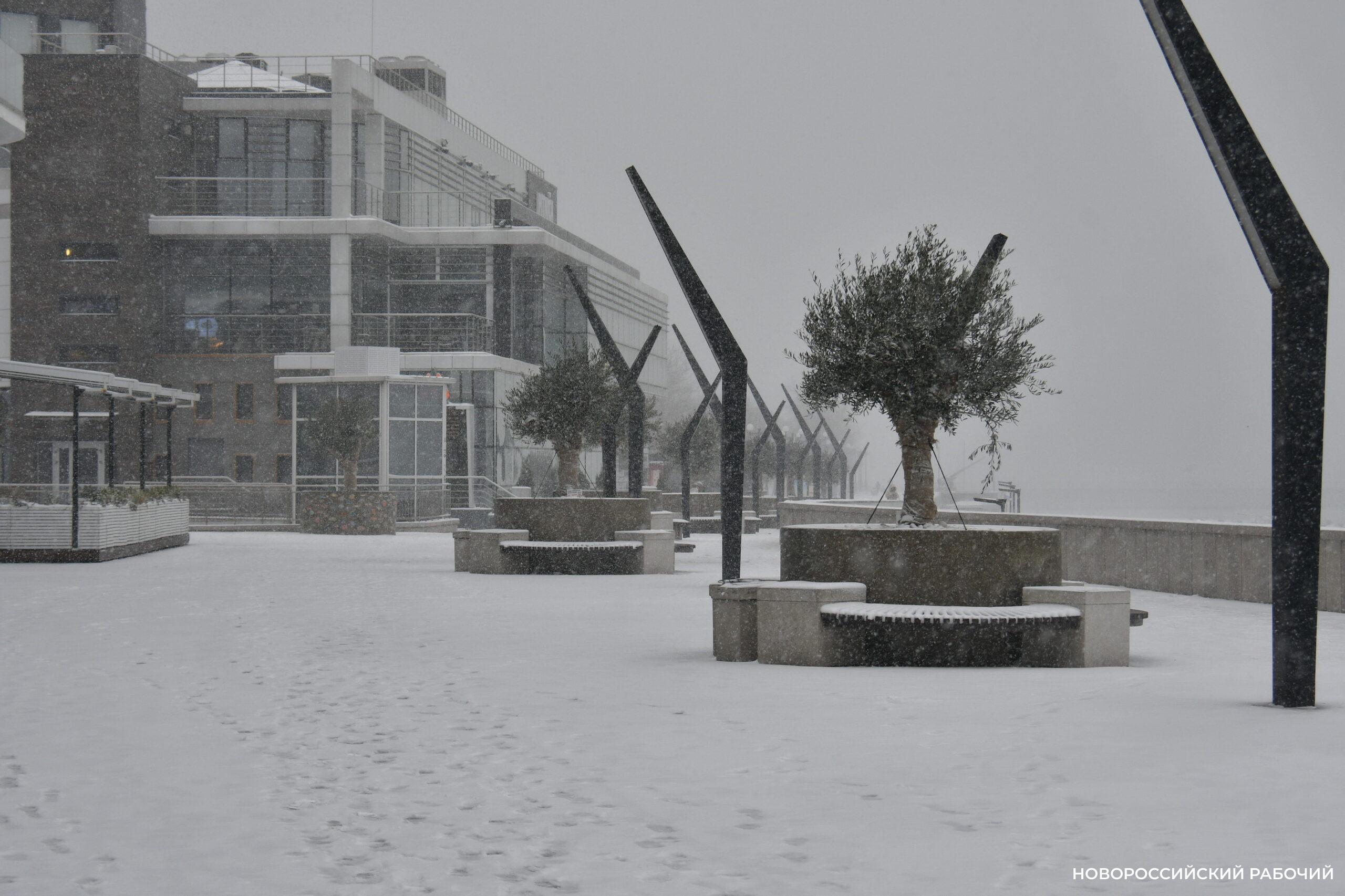 Советы дня на 16 января: важно поберечь зрение и получить заряд бодрости