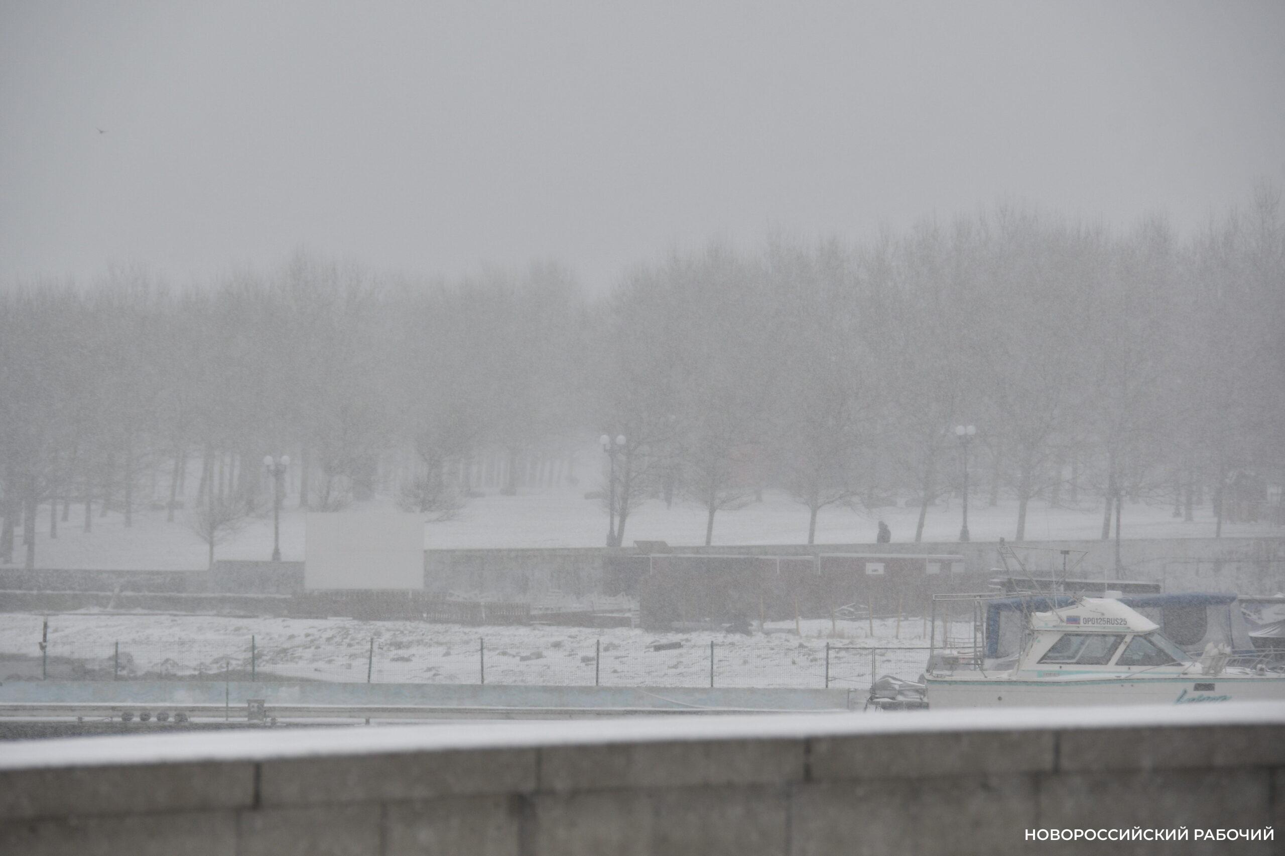 Советы дня на 15 января: новые дела не начинайте, лучше подстричься!