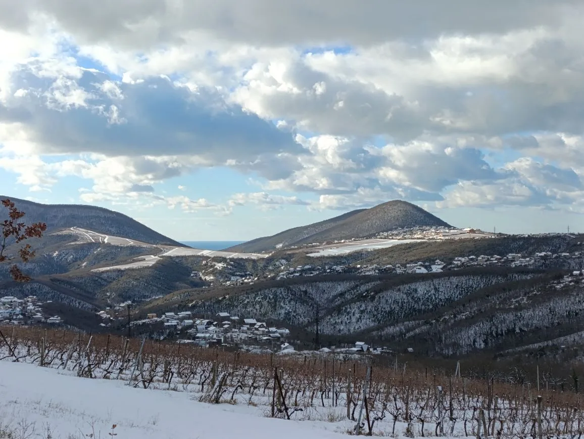 Семейное ничегонеделание или марш на работу? Как новороссийцы проводят новогодние каникулы