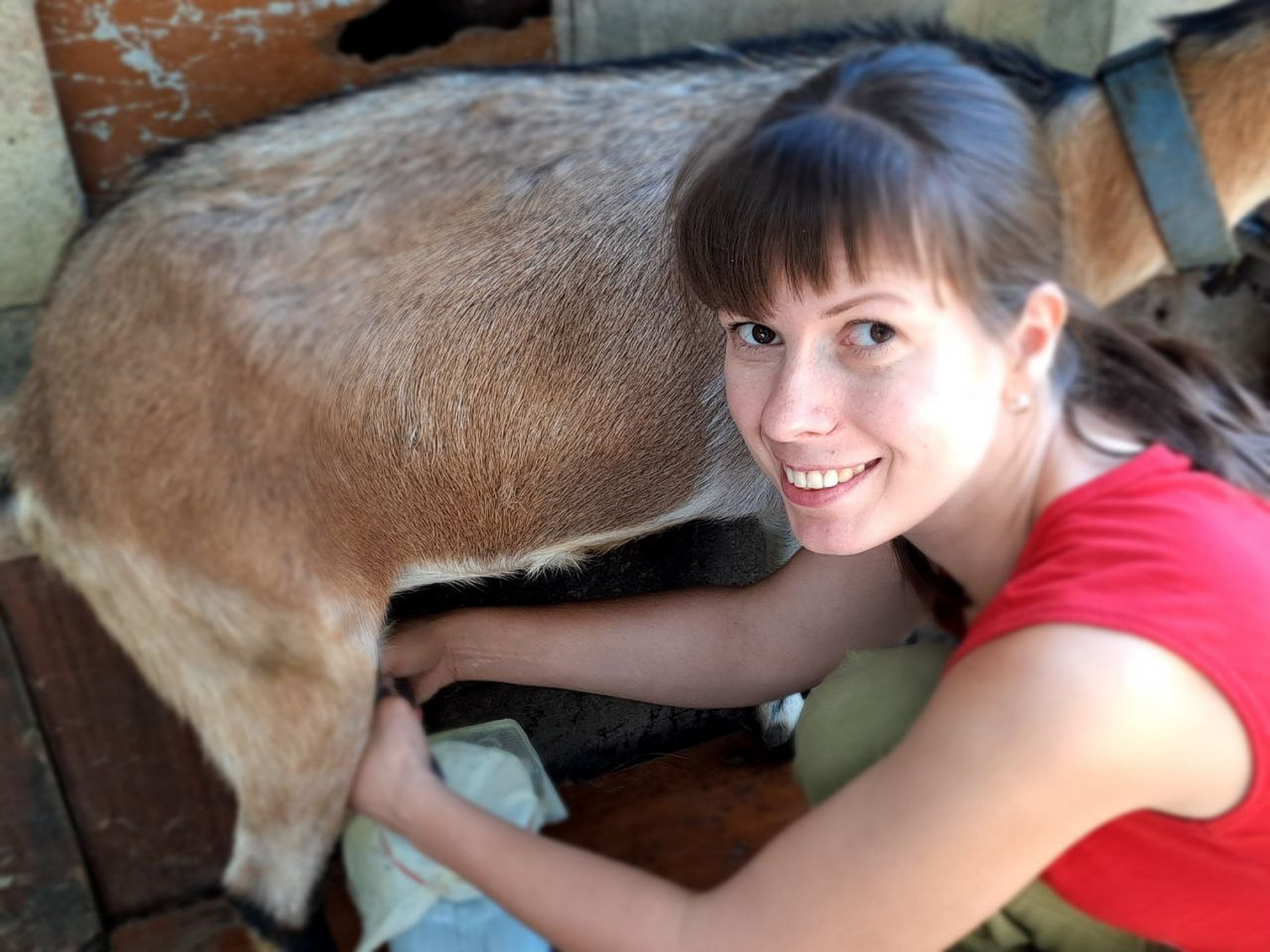 Счастье с выдержкой фермеров Казаковых. Как семья врачей из Подмосковья нашла свое призвание в сыроварении