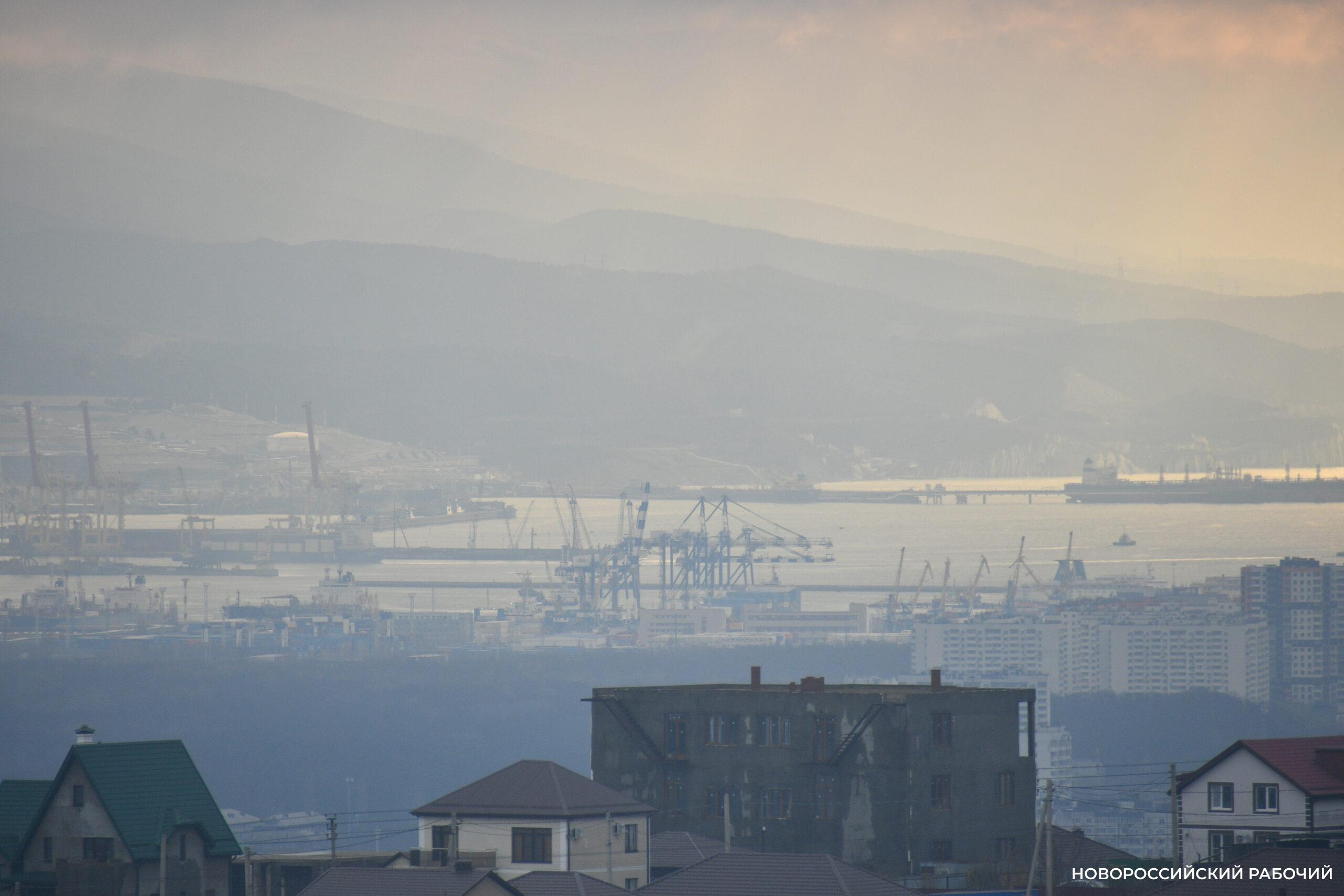 Из пяти всемирно известных компаний Новороссийска лишь у НМТП увеличилась чистая прибыль