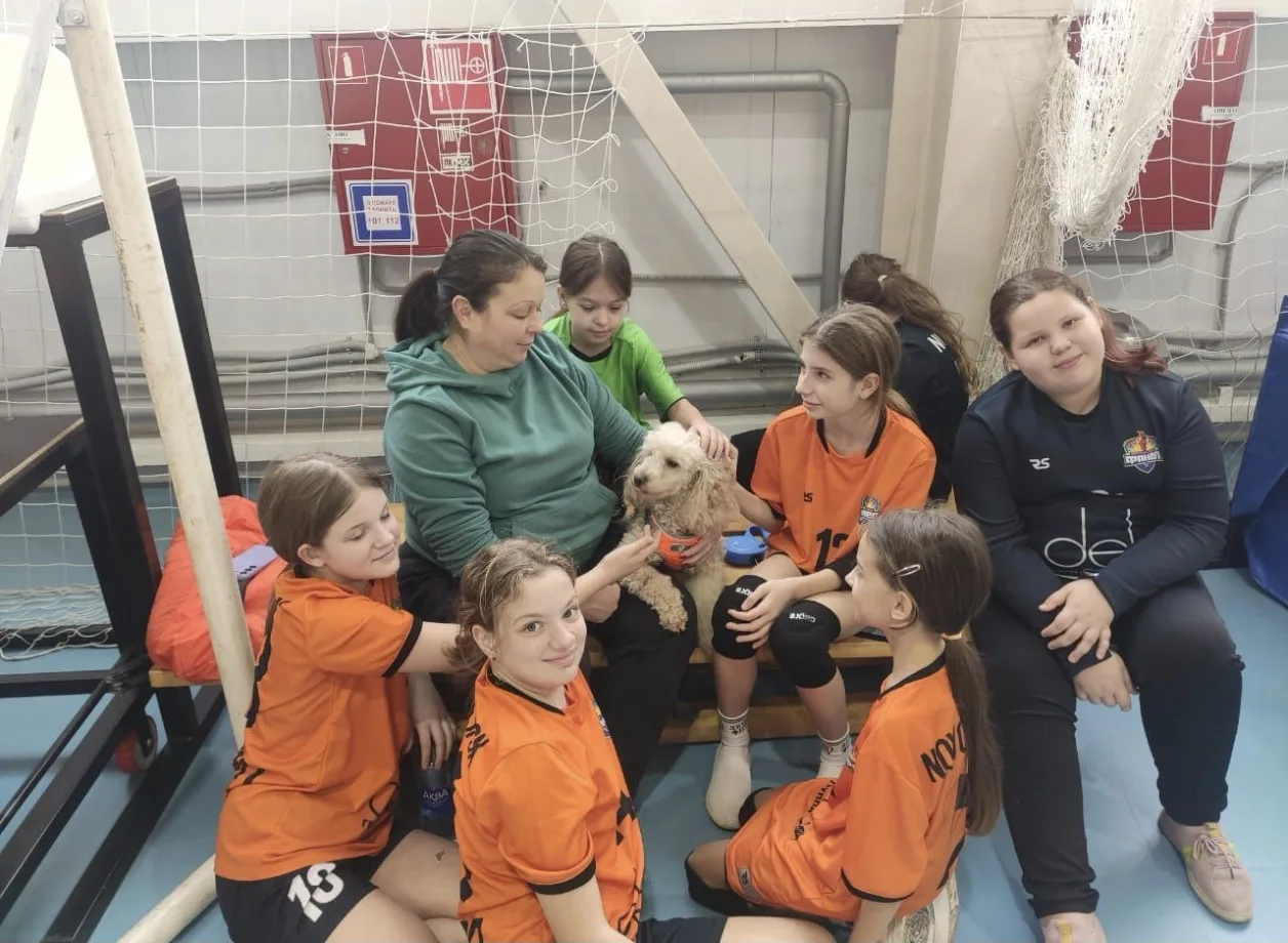 Спасенный Моцарт из Новороссийска стал фанатом и талисманом гандбольной команды