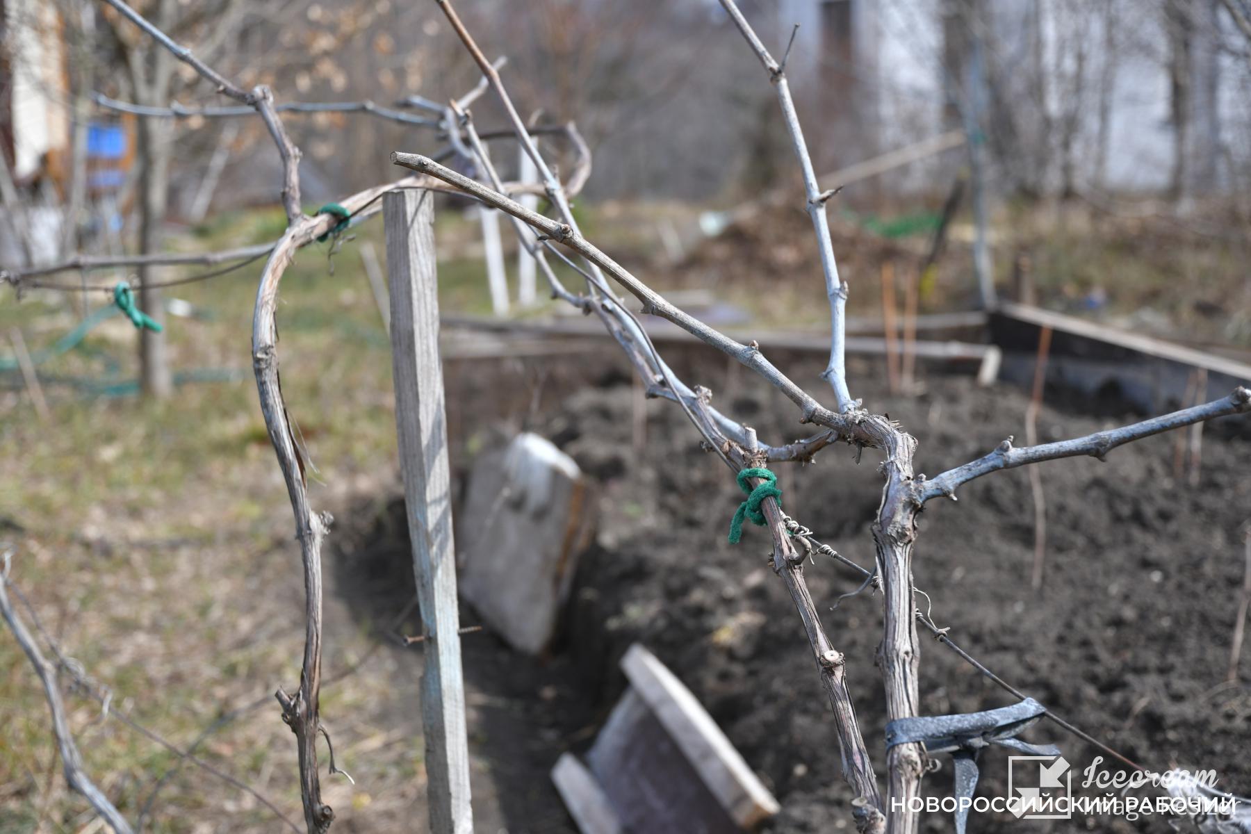 Совет дня на 17 февраля: спокойствие, только спокойствие!