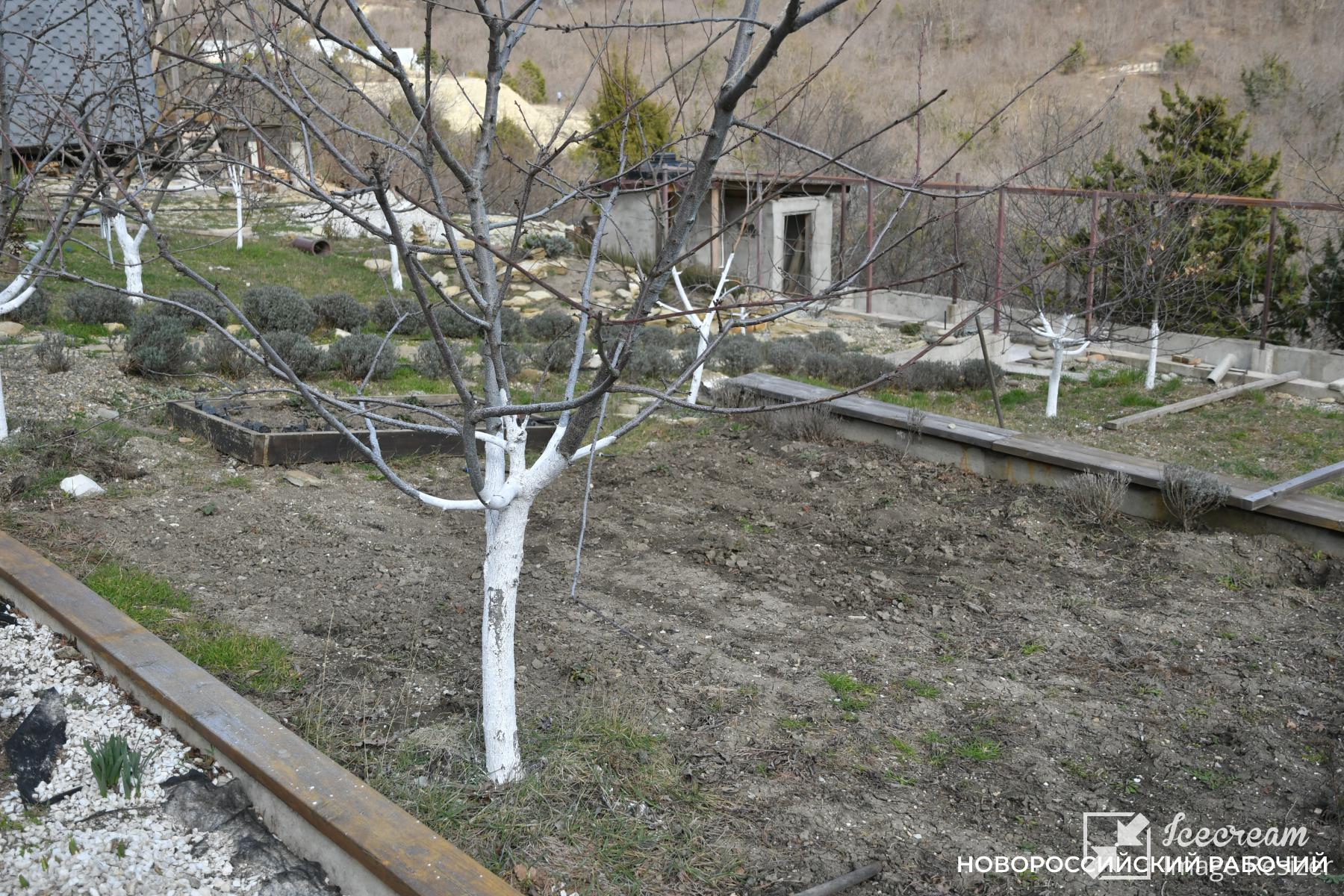 Совет дня на 15 февраля: день благоприятен для всех дел, так что не упусти его!