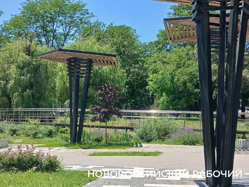 В парке Новороссийска устанавливают емкость, чтобы наладить автополив