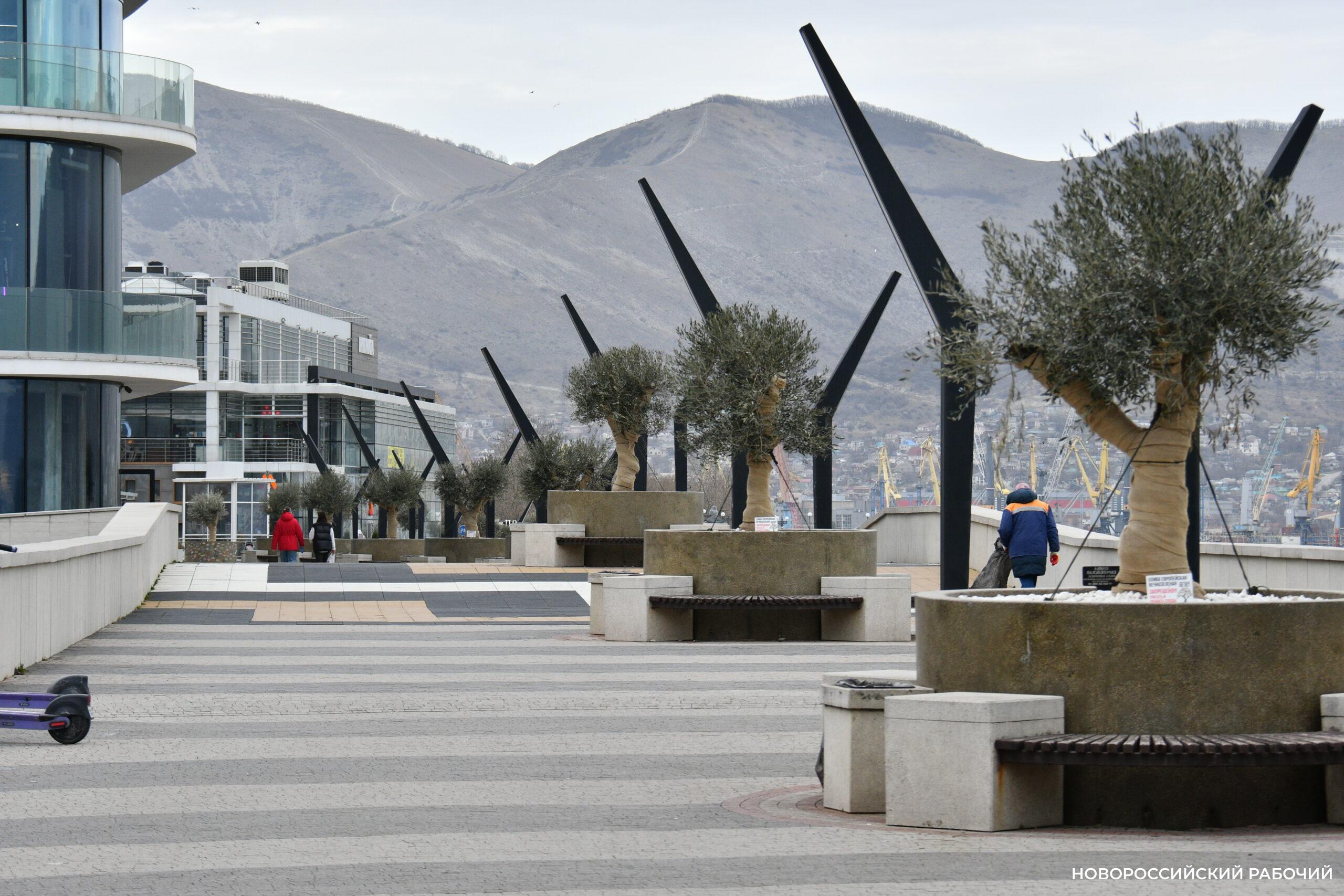 Совет дня на 16 марта: новые дела лучше не начинать