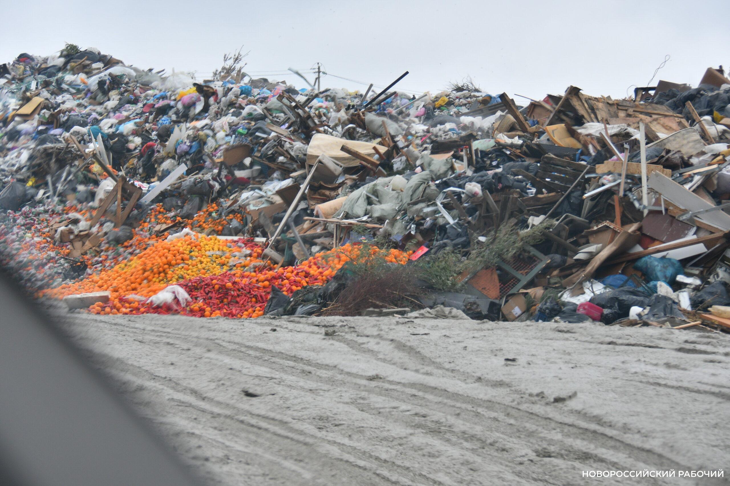 Свалка в Новороссийске будет жить еще лет семь и продолжит расти