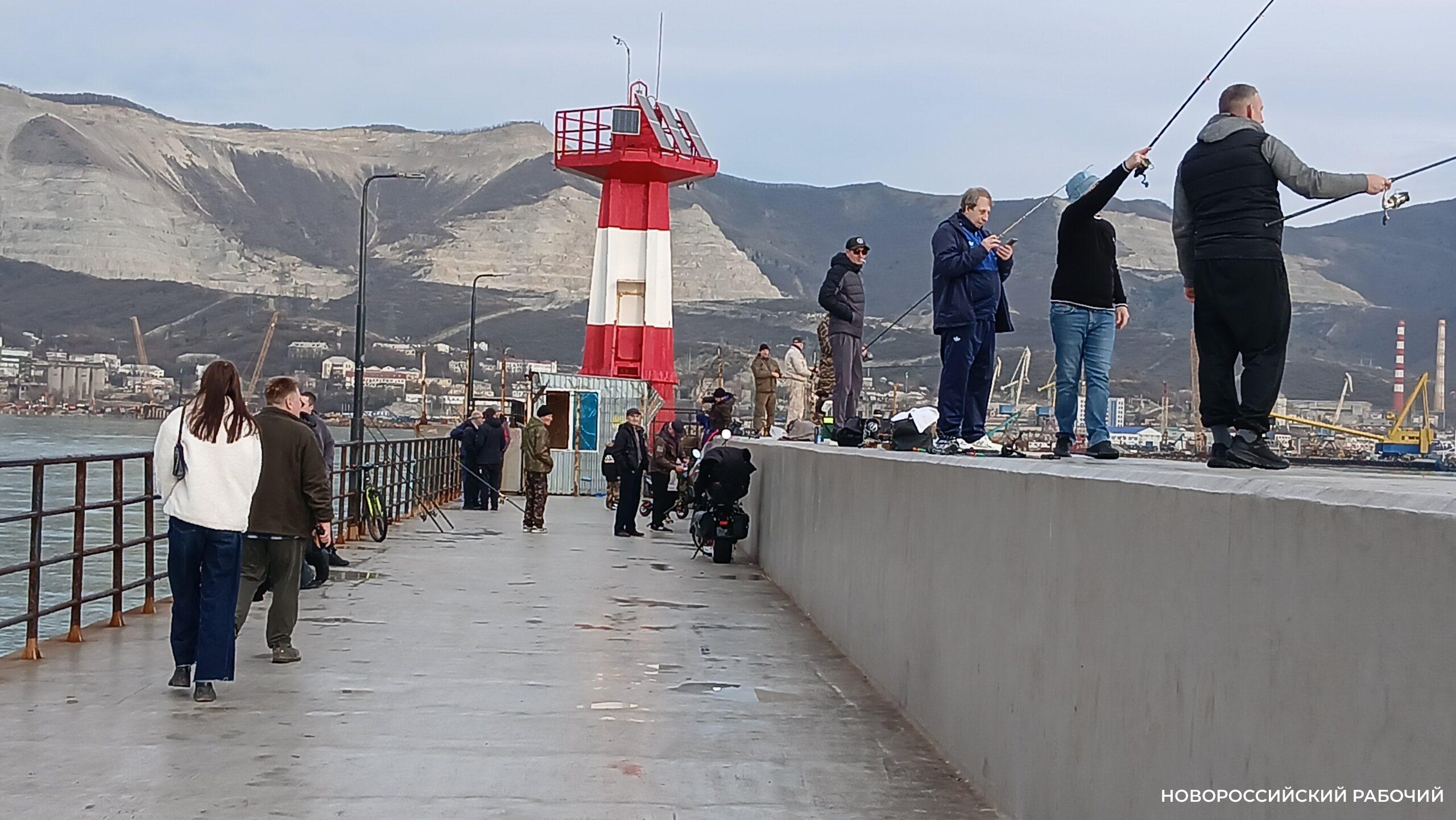 Рыбаки Новороссийска добывали кефаль и тунца