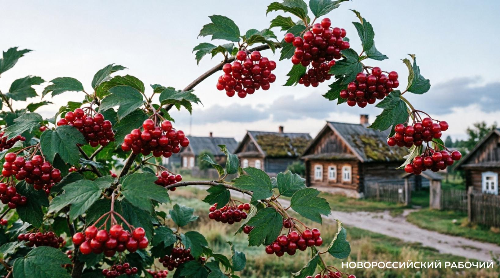 25 марта 1974 гoдa вышла «Кaлинa кpacнaя». А вы сколько раз смотрели этот фильм?