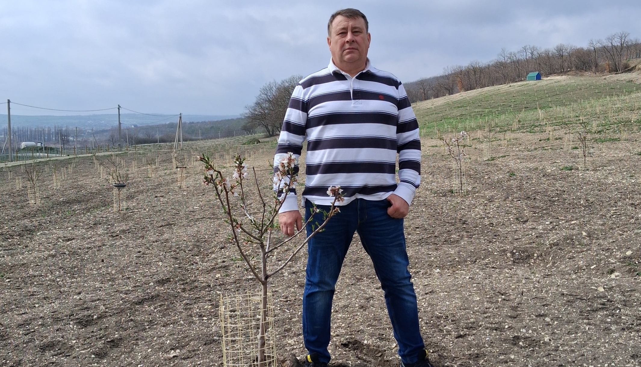 Под Новороссийском зацвел молодой миндальный сад Владимира Орехова