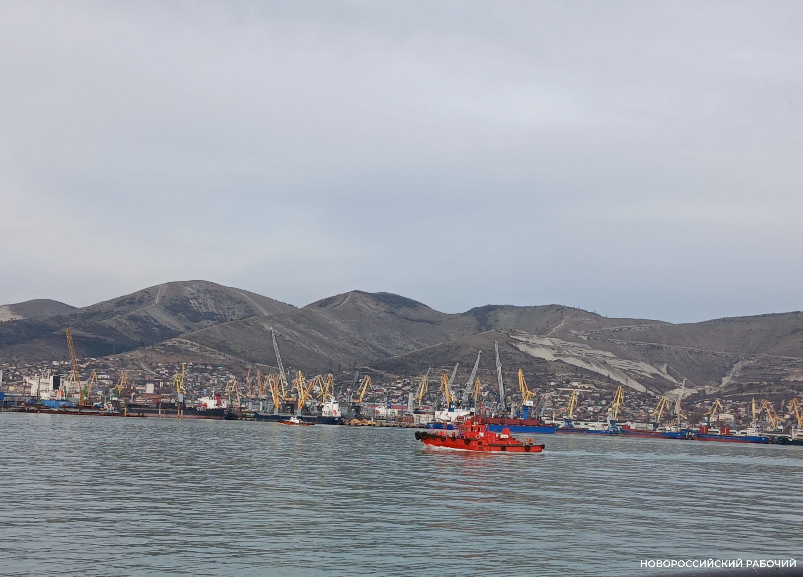 Транспортировка нефти из Новороссийска подорожала до максимума