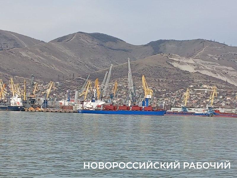 За два месяца из Новороссийска в Египет отгрузили 1,5 млн. тонн пшеницы