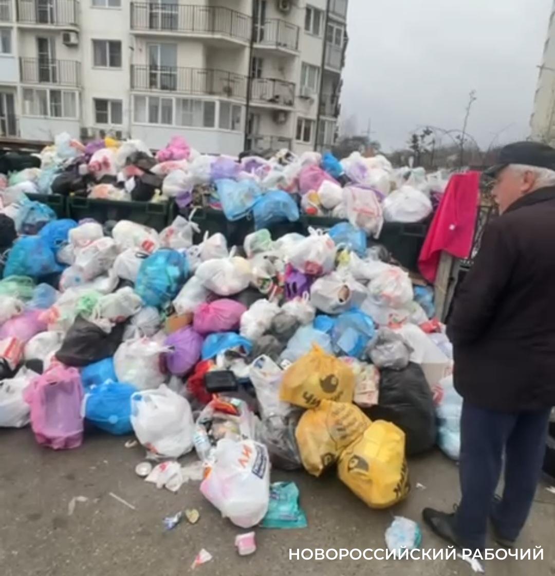 Жителям Новороссийска посоветовали самим требовать от ЮРО своевременного вывоза мусора