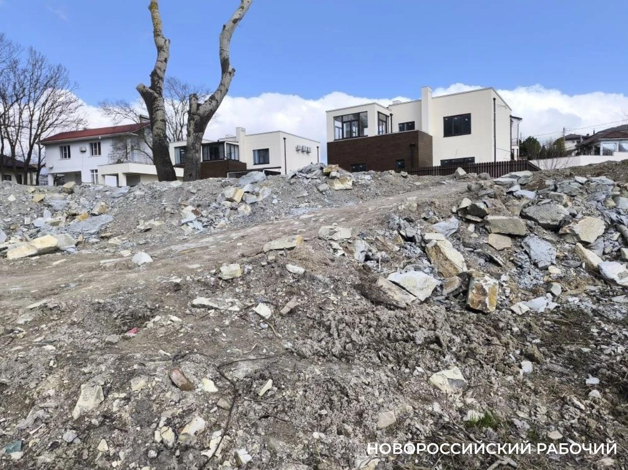 В Новороссийске чиновники просят помощи у жителей – нужны фото леса 10-летней давности