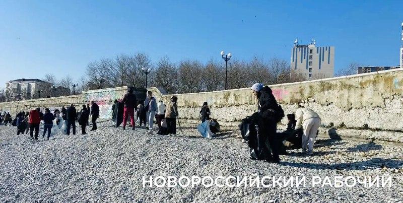 Чистили пляжи, вывозили шины, убирали поросль – в Новороссийске прошли субботники