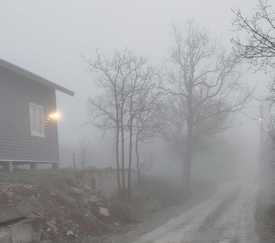 В Новороссийск пришел туман за … абрикосами