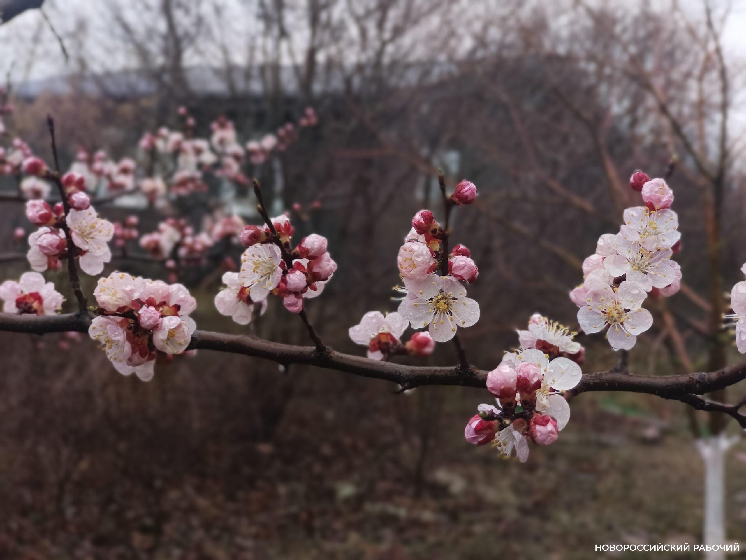 Советы дня на 27 марта: взять кредит – это плохая идея. Особенно сегодня