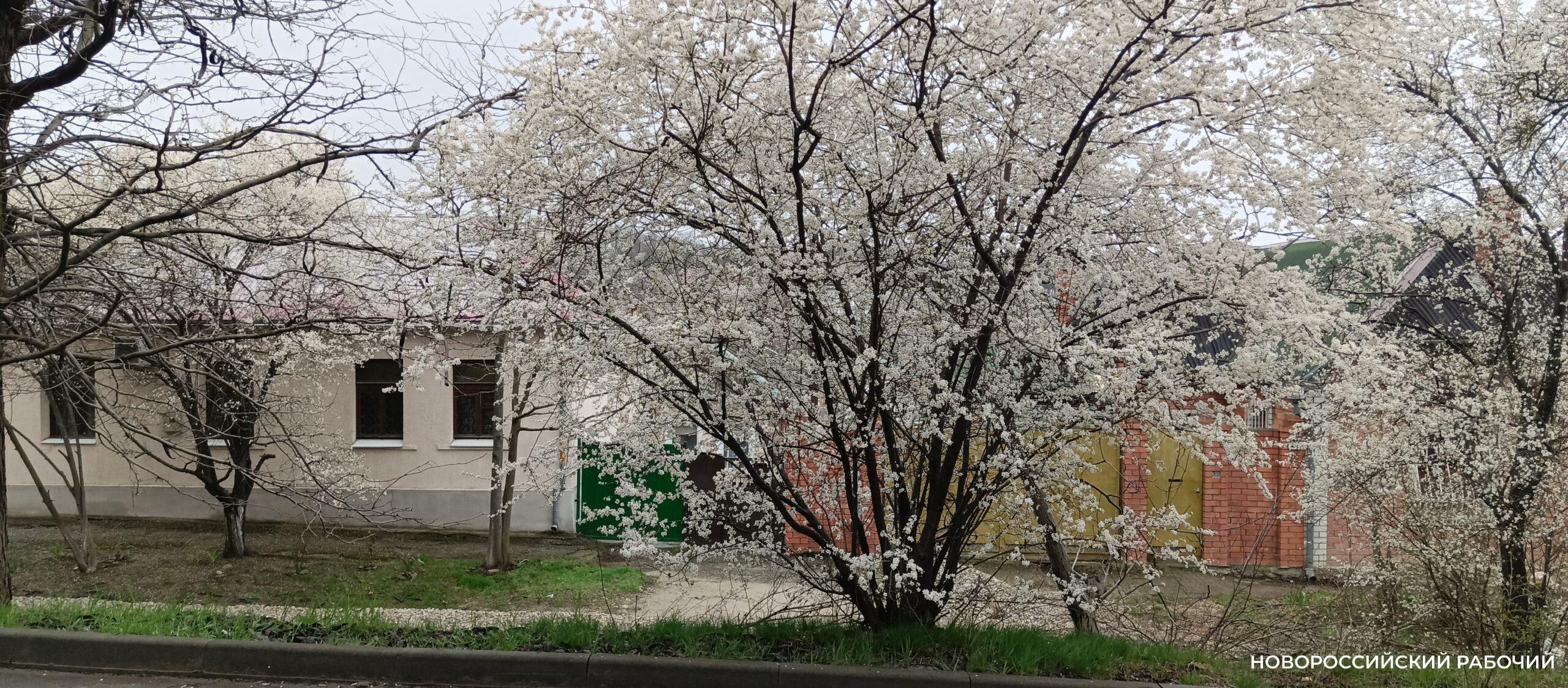 Совет дня на 3 апреля – неспешно поразмышляйте о себе