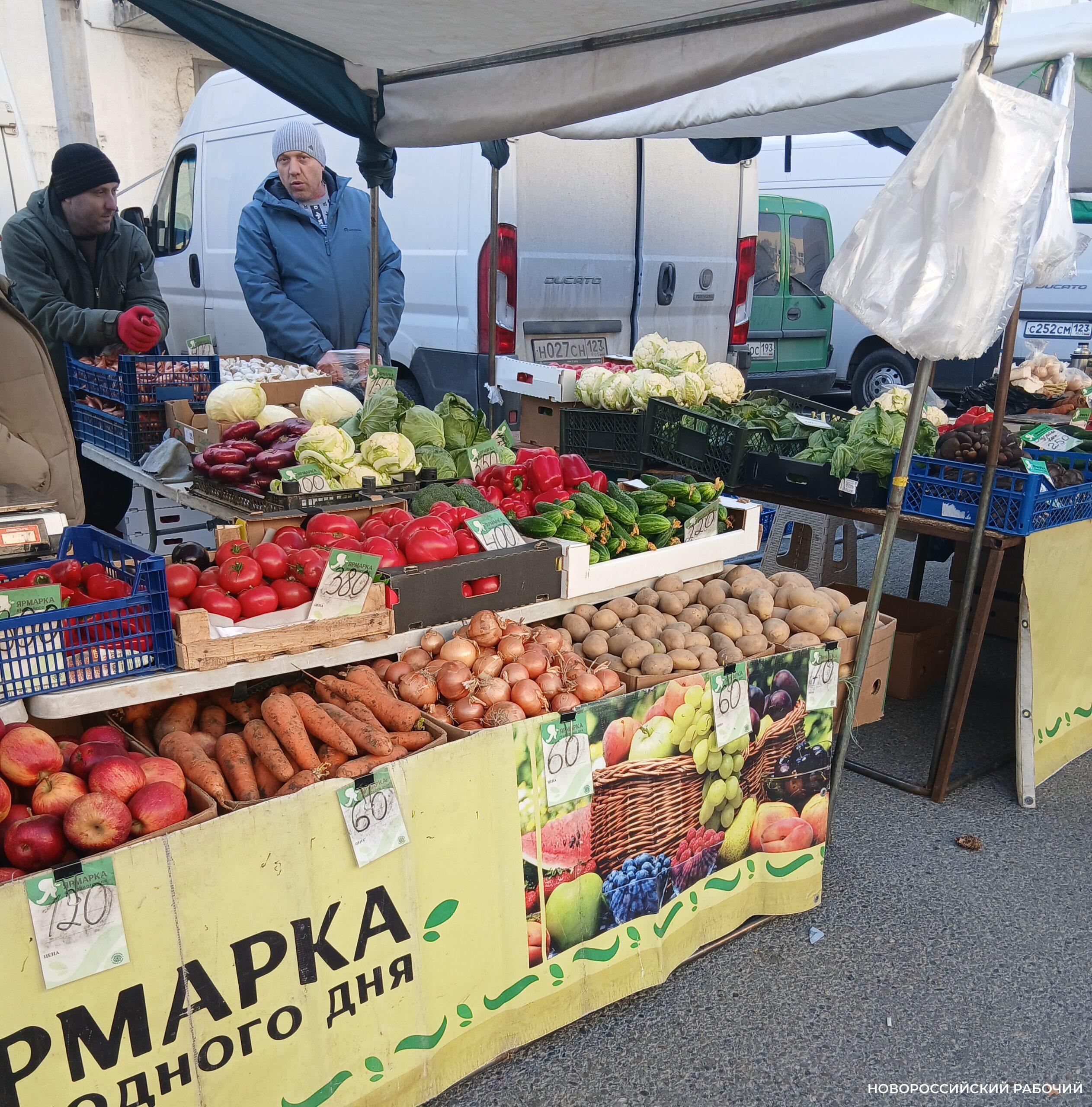 Участников ярмарок в Новороссийске научили действовать во время атак БПЛА