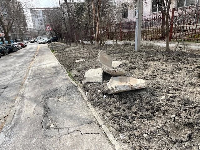 В Новороссийске коммунальщики бросили после себя грязь и изломанные кусты