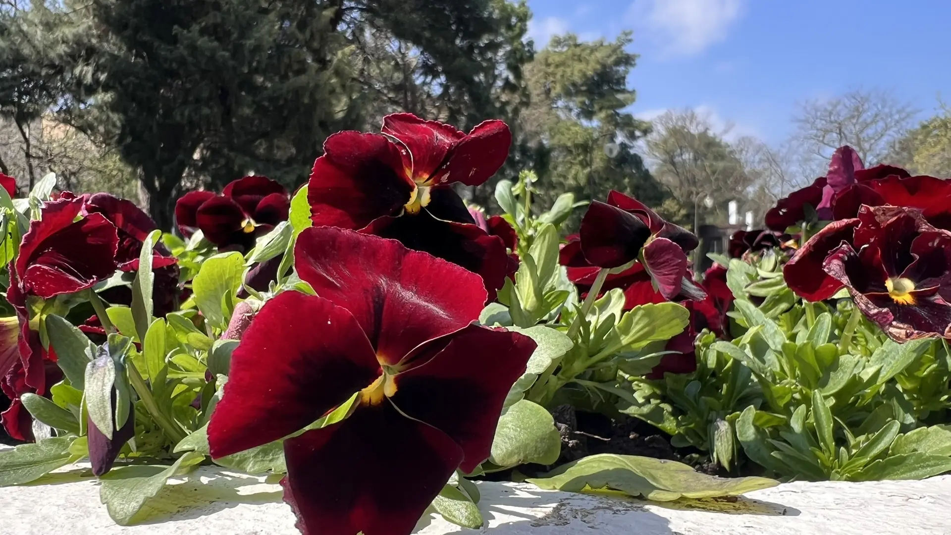 Совет дня на 13 апреля: просьбу одолжить денег начинайте с анекдота, — когда человек смеётся, он становится добрее