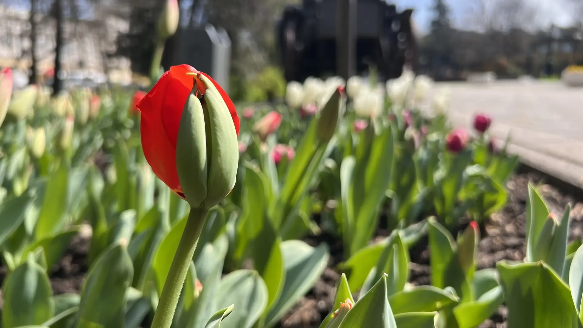 Совет дня на 20 апреля: почаще говорите хорошо о себе. Источник забывается — информация остаётся