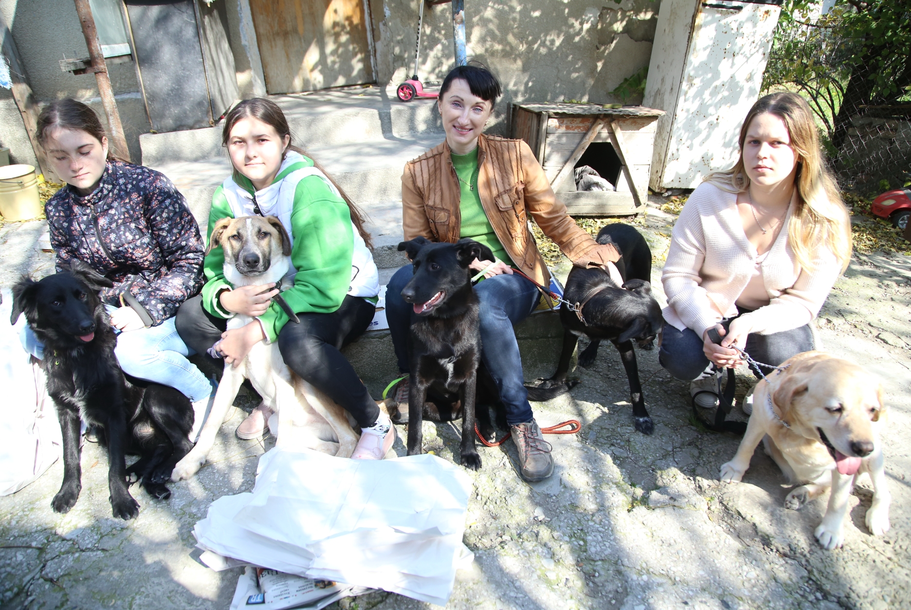 В Новороссийске животных не оставляют в беде