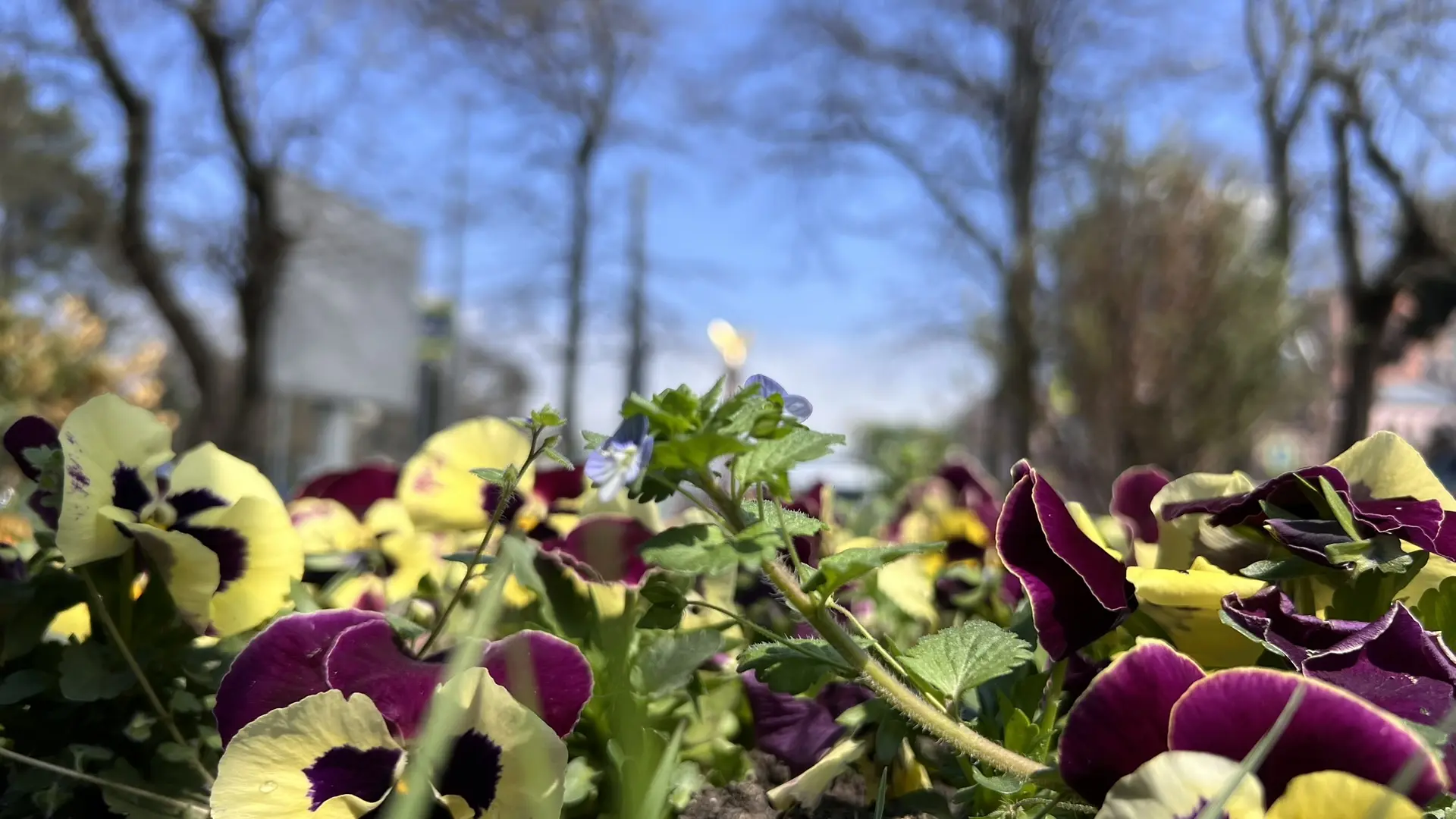 Совет дня на 15 апреля: правило «всё равно ничего не успею, посижу лучше в интернете», ещё никогда не подводило