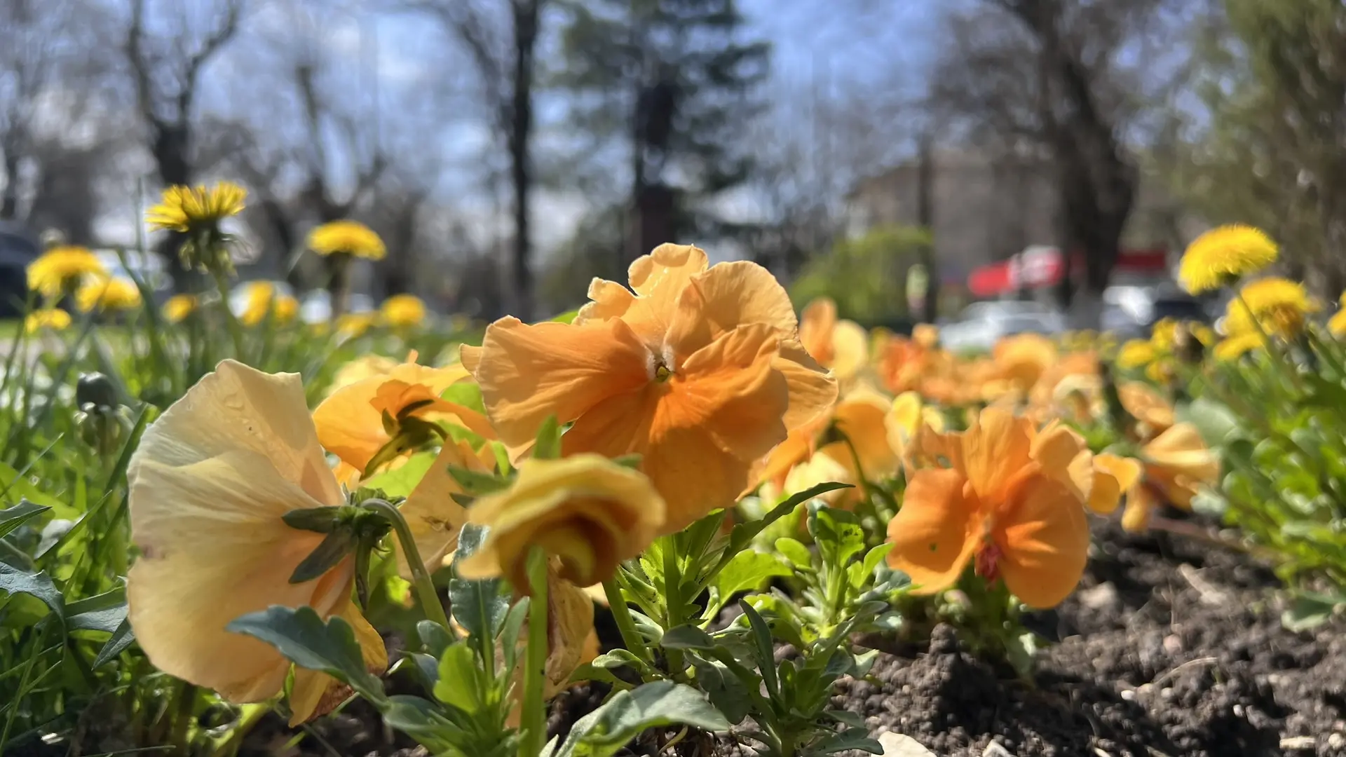 Совет дня на 16 апреля: практикуйте воздержание