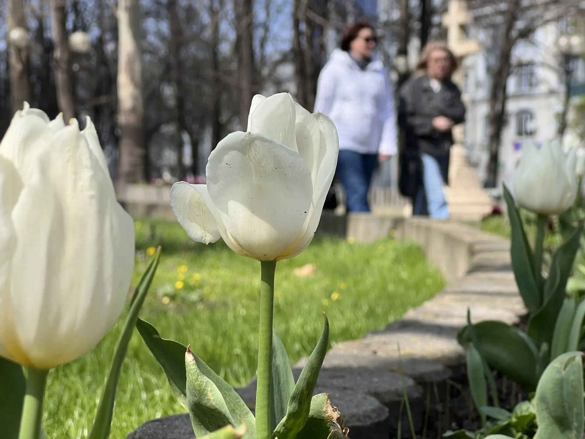 Совет дня на 30 апреля: у работы есть три плюса: пятница, зарплата и отпуск