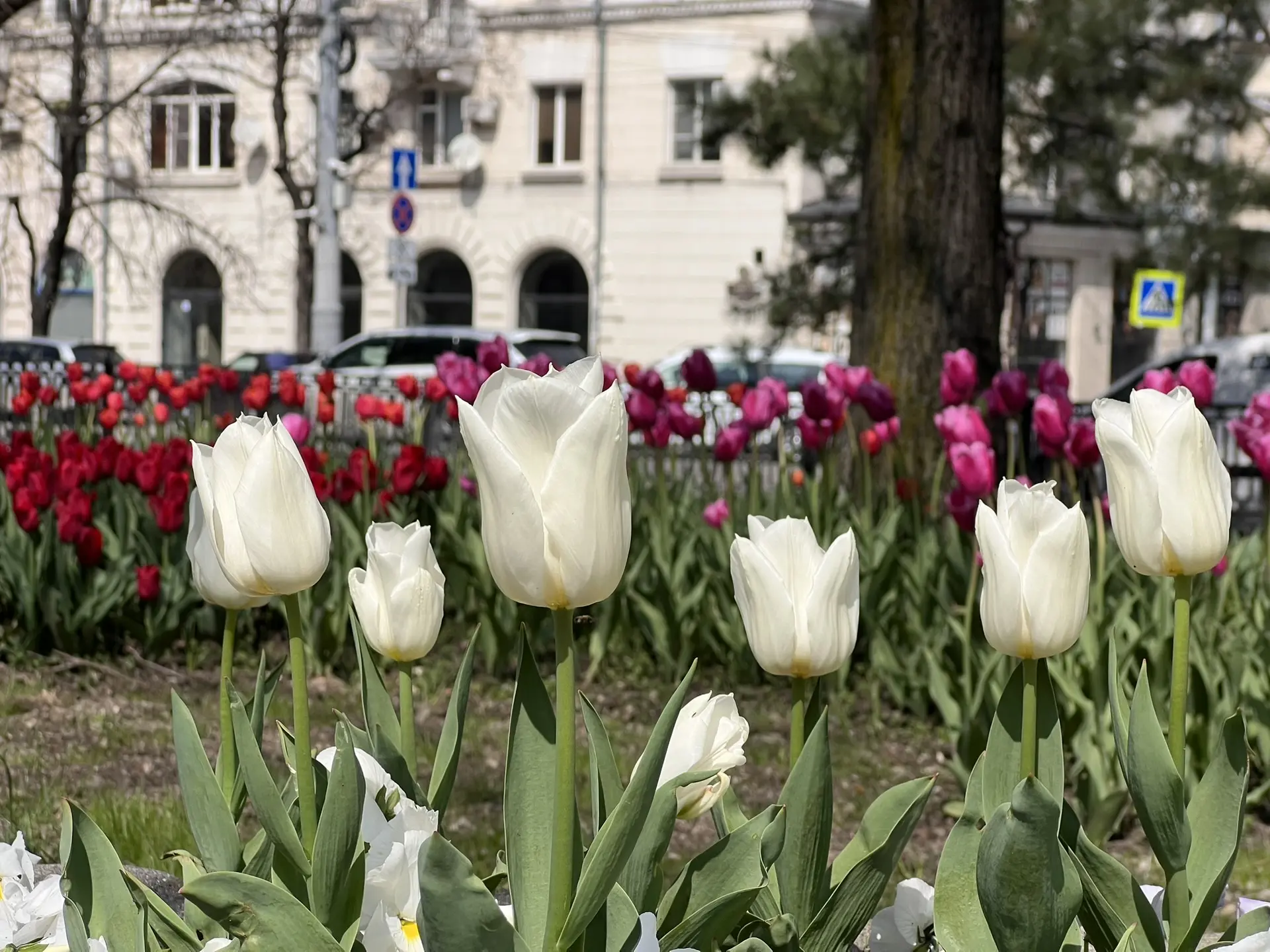 Совет дня на 14 апреля: при переходе от слов к делу не пропадай без вести
