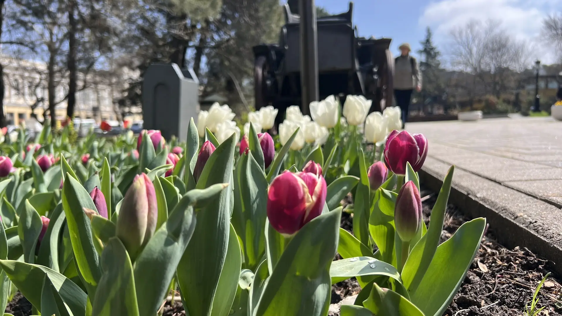 Совет дня на 17 апреля: откажись от ненужного и раздай долги