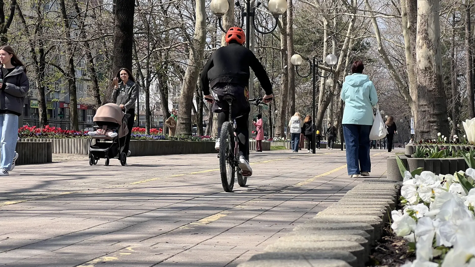 В Новороссийске начинается голосование за благоустройство главной Парковой аллеи города