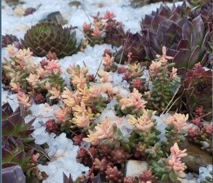 В Новороссийске на страстной неделе бушуют погодные страсти