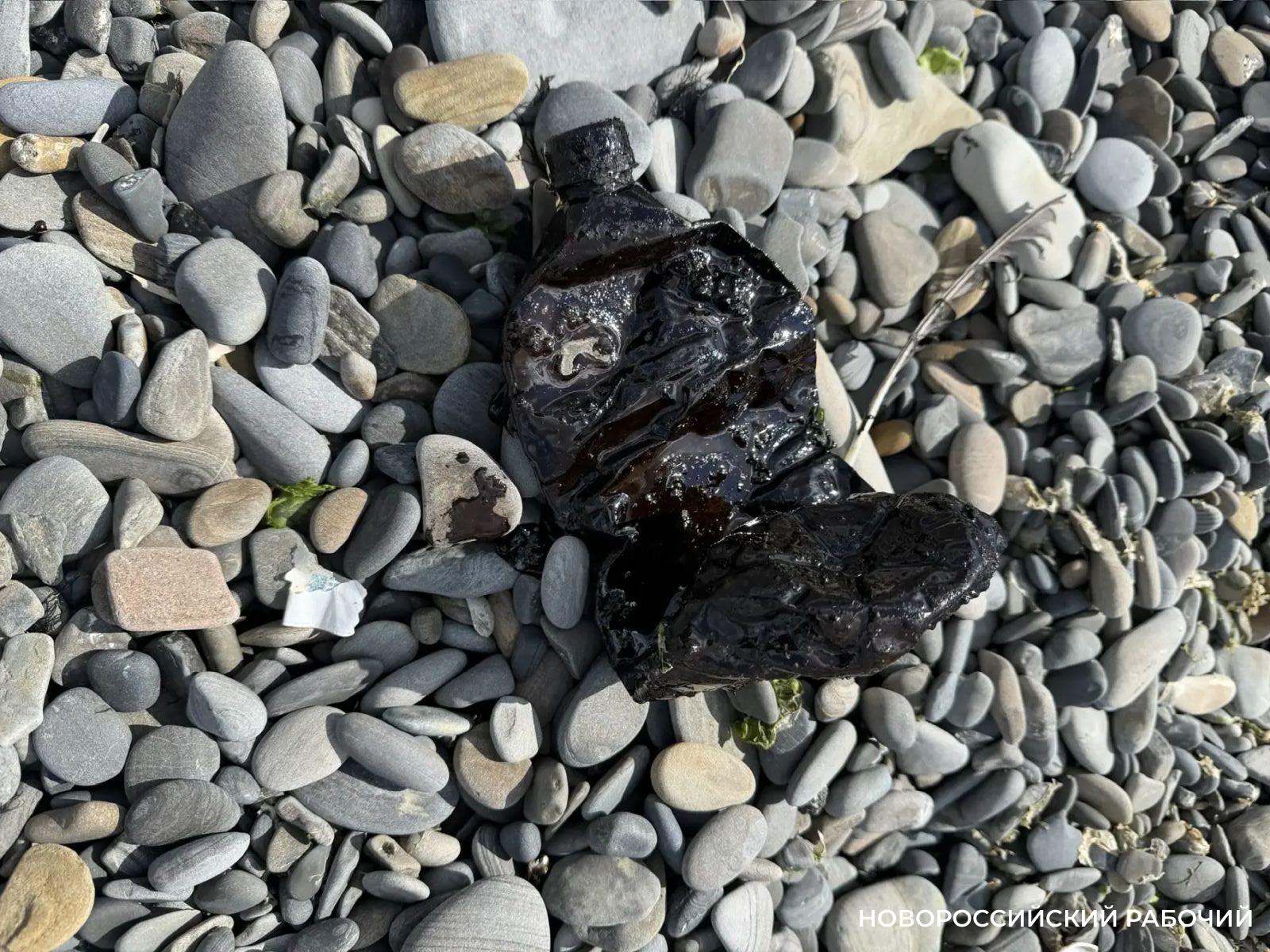 В Новороссийске на пляже нашли пятна мазута