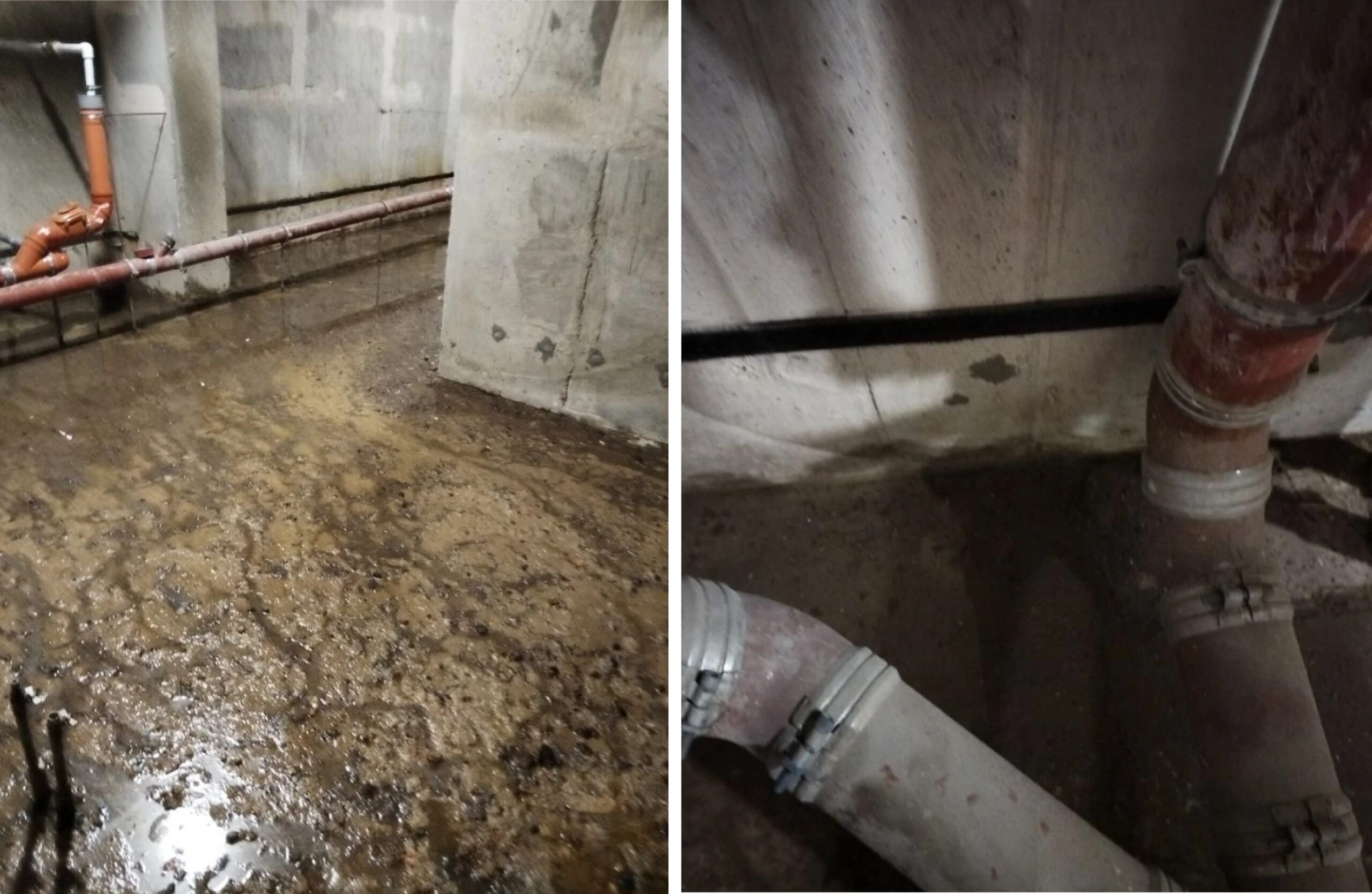 «Дерьмовое» укрытие. Из-за бездействия управляющей компании жители МКД в Новороссийске не смогли спуститься в укрытие