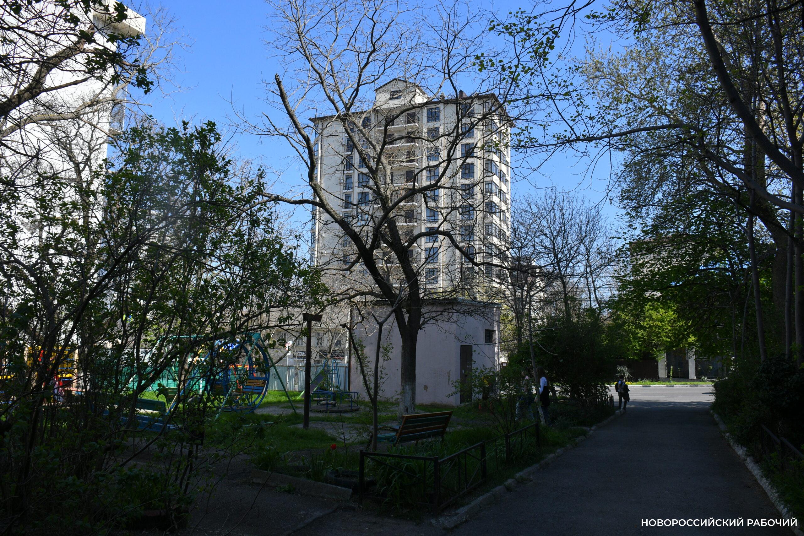 Пожилым новороссийцам сложно приводить двор в порядок. Кто поможет?