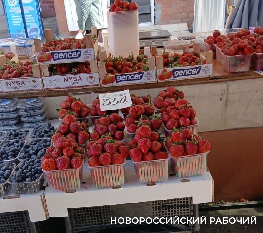 В Новороссийске местная клубника дороже импортной